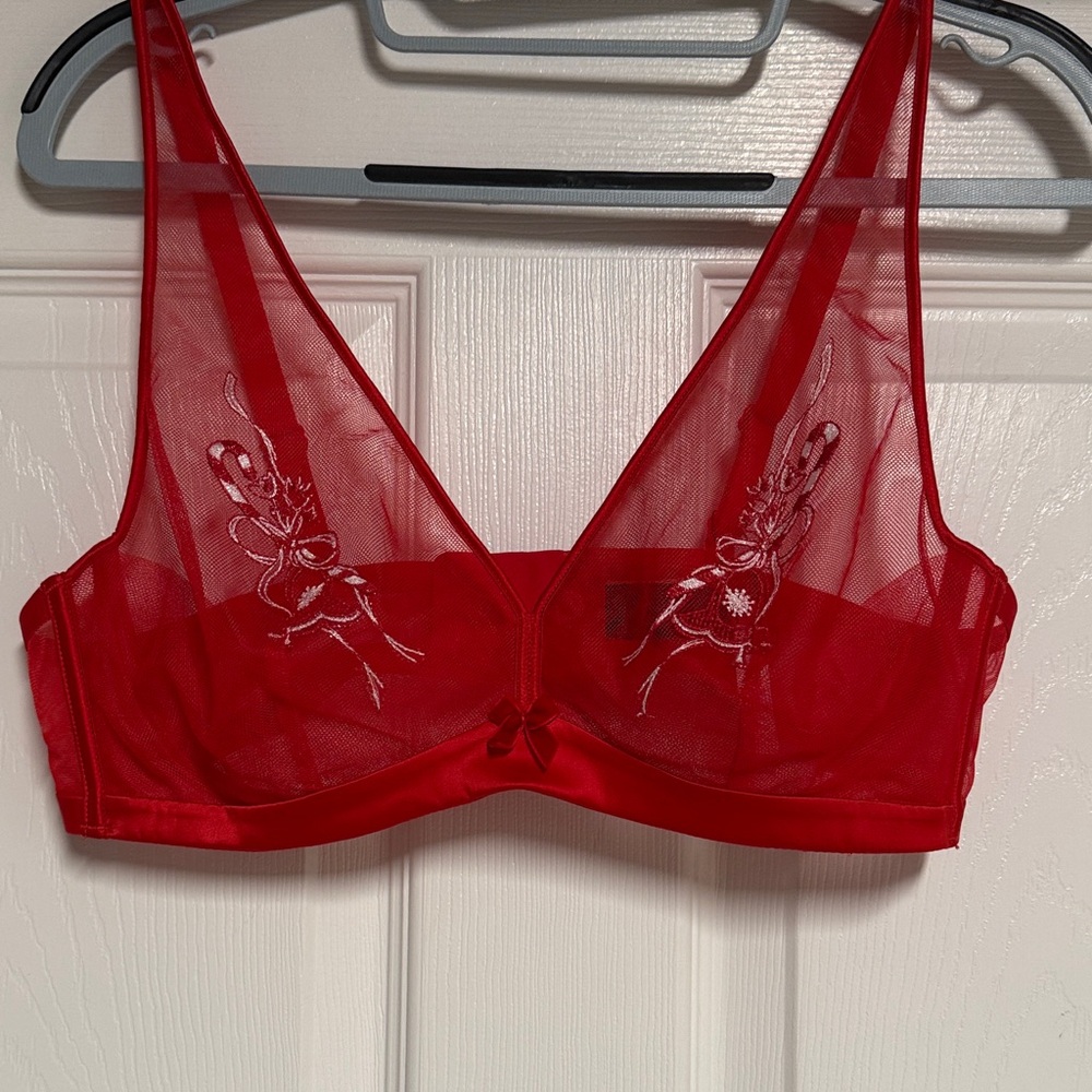 Elegant Red Sheer Bralette